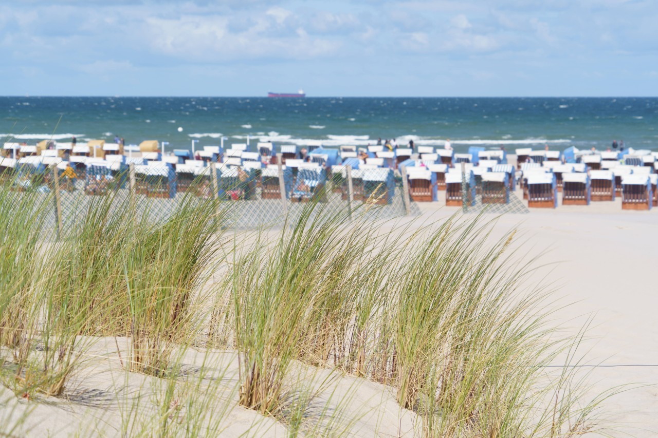 Urlaub an der Ostsee: Eigentlich wollten sie hier entspannen. Doch daraus wird nicht. (Symbolbild)
