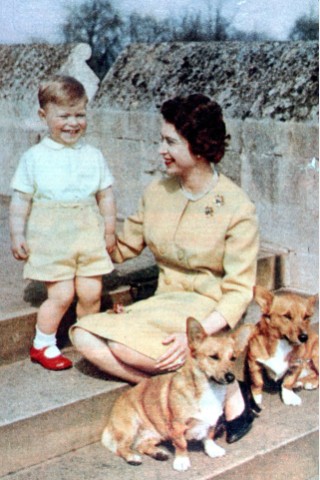 Neben Charles und Anne bekam Königin Elizabeth noch zwei weitere Kinder. 1960 wurde Andrew (Foto) geboren, 1964 dann Edward.
