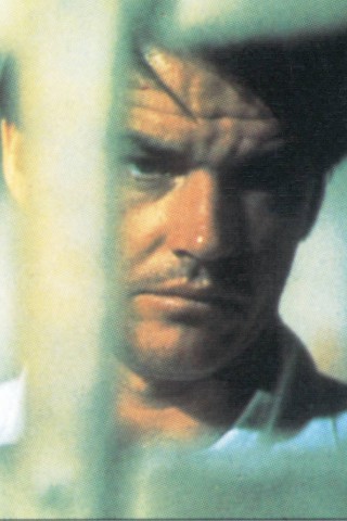 Nicholson brachte der Klassiker die erste von zwölf Oscar-Nominierungen ein.