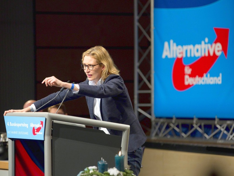 Weidel trat im Jahr 2013 in die AfD Baden-Württemberg ein. Zwei Jahre später wurde sie in den Bundesvorstand der Partei gewählt.