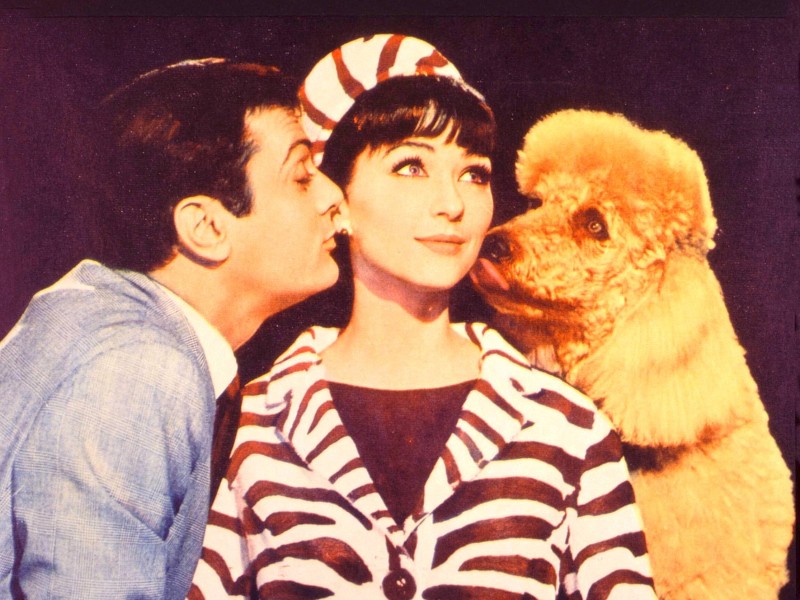 Tony Curtis, Christine Kaufmann 1964 in „Monsieur Cognac“.
