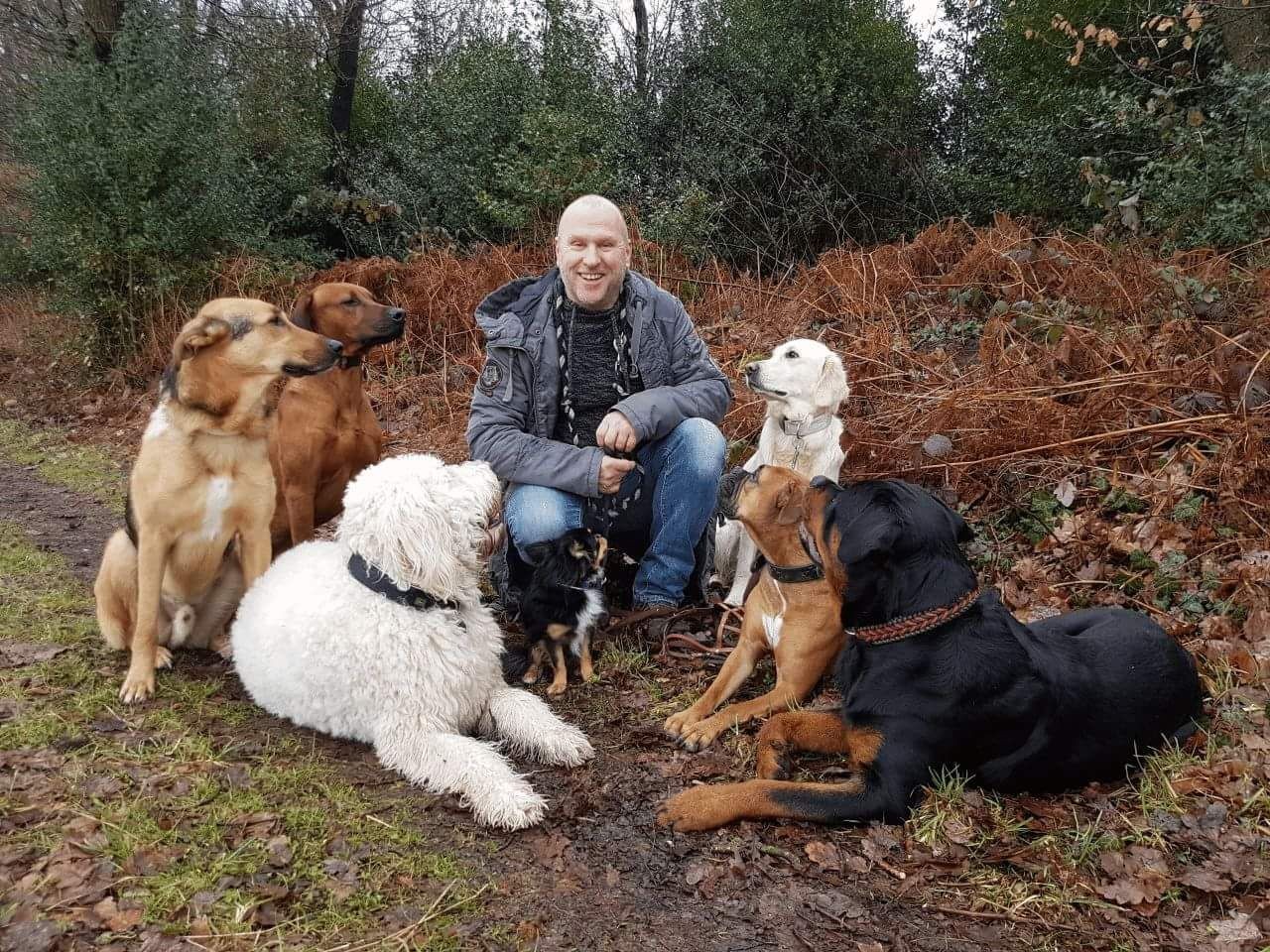 Hundetrainer Jörg Müller ist für seine Vierbeiner die ständige Bezugsperson.