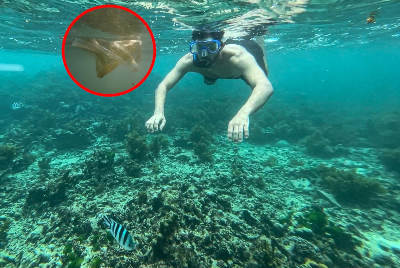 Irre Entdeckung eines Rettungsschwimmers auf Mallorca! Im Meer fand er eine Tüte mit irrem Inhalt. (Symbolbild)