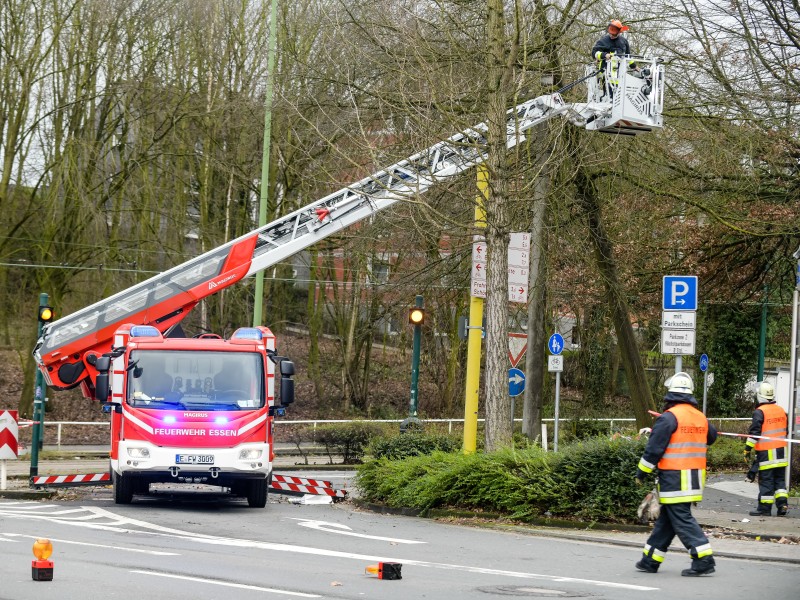 Die Feuerwehr musste Äste absägen, damit sie nicht auf die Straße fallen.