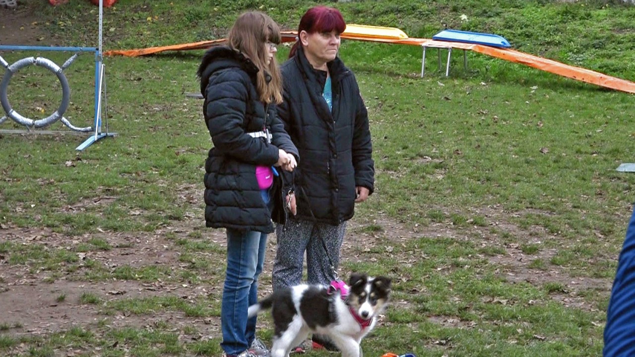 Selina und ihre Mama Petra besuchen eine Hundeschule.