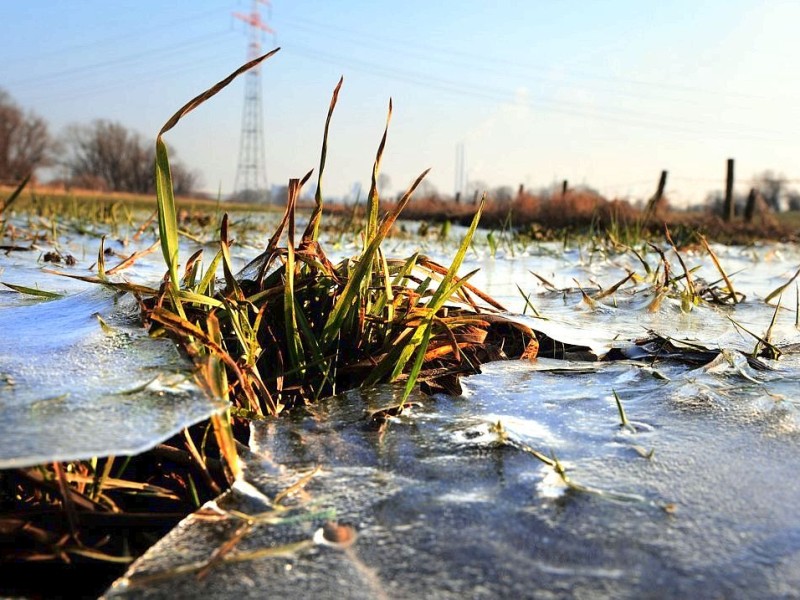 ...für eine dünne Eisschicht gesorgt. In Gelsenkirchen...