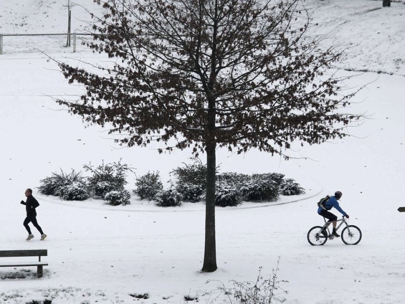 ...noch nicht ganz geklärt ist, welche Fortbewegungsart die beste für das aktuelle Wetter ist. Schnee lässt ja...