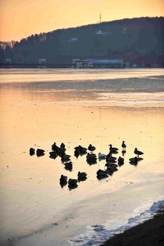 ...hat der Baldeneysee nach einer Woche Dauerfrost eine geschlossene Eisdecke. Unkonventioneller Wintersport...