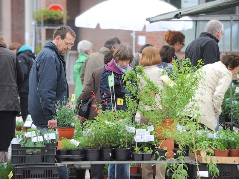 Am Sonntag 29.04.2012 gab es den Blumen- und Bauernmarkt auf dem Rathausparkplatz in Alpen.Foto: Markus Joosten / WAZ FotoPool