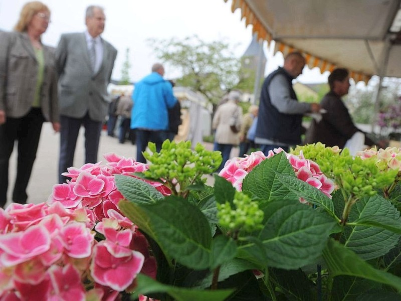 Am Sonntag 29.04.2012 gab es den Blumen- und Bauernmarkt auf dem Rathausparkplatz in Alpen.Foto: Markus Joosten / WAZ FotoPool