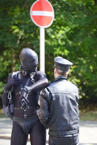 Begleitet von Hunderttausenden Schaulustigen zogen beim CSD etwa 40 Wagen und 20 Fußgängergruppen durch Berlin.