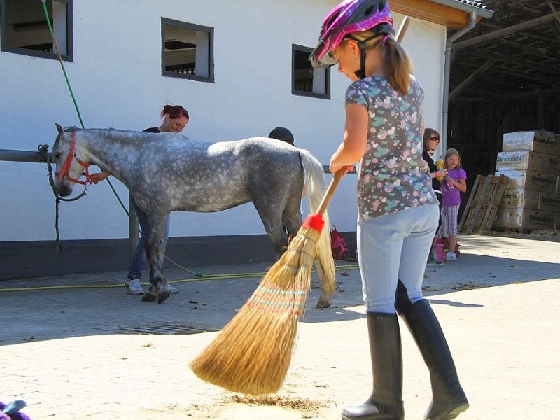 Der Freienspass auf dem Reiterhof Reiterzentrum Worch am Montag 23. Juli 2012 in Hattingen.Die 32 Kinder imm Alter zwischen 8-10 Jahren lernen spielerisch mit dem Tier Pferd umzugehen.Satteln,Säubern und reiten gehört dazu.Auch der Reitunterricht findetr statt. Foto: Claudia Schütte / WAZ FotoPool