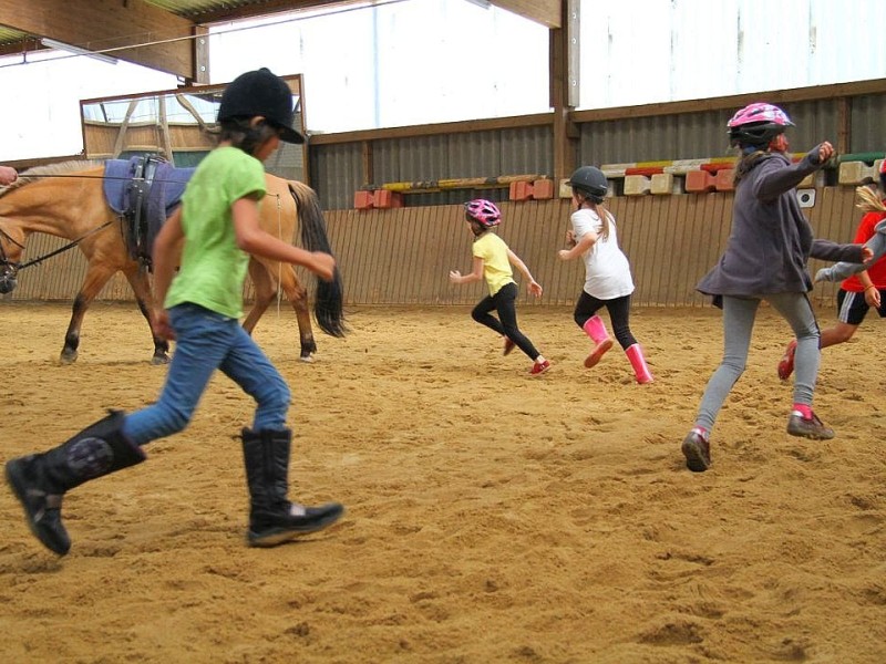 Der Freienspass auf dem Reiterhof Reiterzentrum Worch am Montag 23. Juli 2012 in Hattingen.Die 32 Kinder imm Alter zwischen 8-10 Jahren lernen spielerisch mit dem Tier Pferd umzugehen.Satteln,Säubern und reiten gehört dazu.Auch der Reitunterricht findetr statt. Foto: Claudia Schütte / WAZ FotoPool