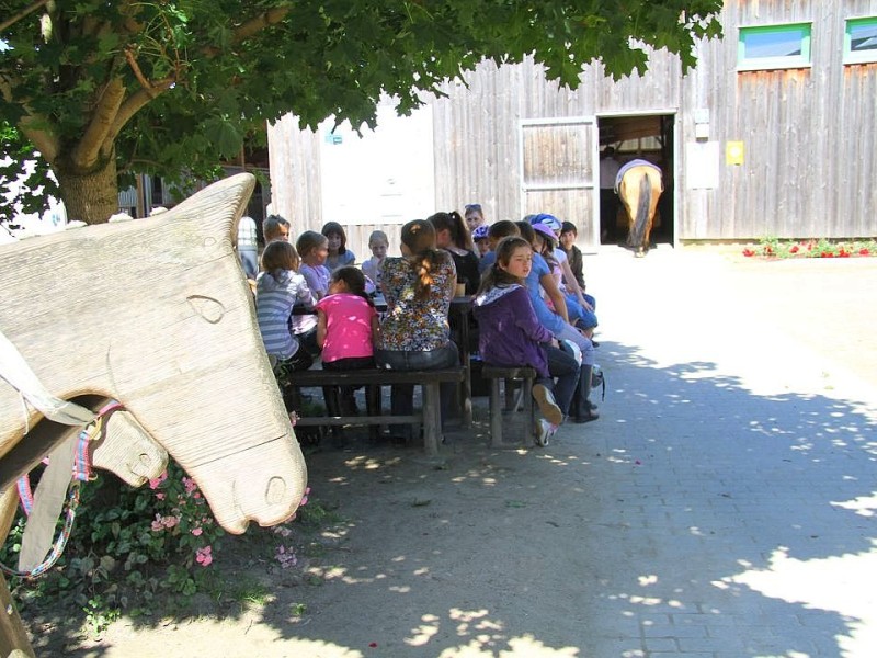 Der Freienspass auf dem Reiterhof Reiterzentrum Worch am Montag 23. Juli 2012 in Hattingen.Die 32 Kinder imm Alter zwischen 8-10 Jahren lernen spielerisch mit dem Tier Pferd umzugehen.Satteln,Säubern und reiten gehört dazu.Auch der Reitunterricht findetr statt. Foto: Claudia Schütte / WAZ FotoPool