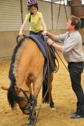 Der Freienspass auf dem Reiterhof Reiterzentrum Worch am Montag 23. Juli 2012 in Hattingen.Die 32 Kinder imm Alter zwischen 8-10 Jahren lernen spielerisch mit dem Tier Pferd umzugehen.Satteln,Säubern und reiten gehört dazu.Auch der Reitunterricht findetr statt.i.Bild Inhaber Reinhard Worch  Foto: Claudia Schütte / WAZ FotoPool