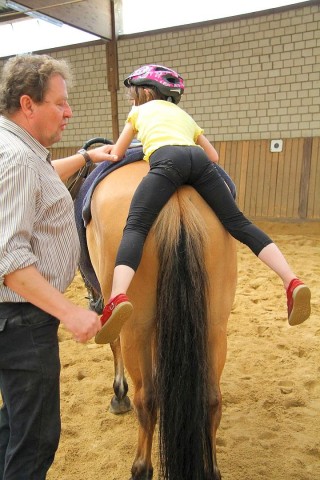 Der Freienspass auf dem Reiterhof Reiterzentrum Worch am Montag 23. Juli 2012 in Hattingen.Die 32 Kinder imm Alter zwischen 8-10 Jahren lernen spielerisch mit dem Tier Pferd umzugehen.Satteln,Säubern und reiten gehört dazu.Auch der Reitunterricht findetr statt.i.Bild Inhaber Reinhard Worch  Foto: Claudia Schütte / WAZ FotoPool