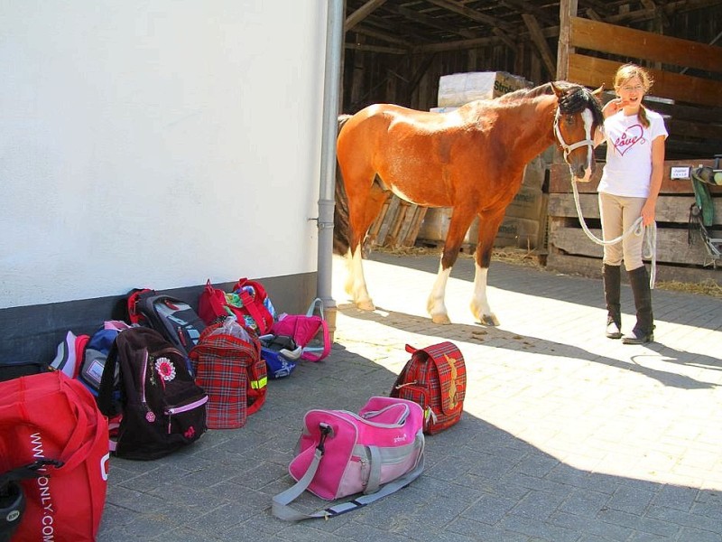 Der Freienspass auf dem Reiterhof Reiterzentrum Worch am Montag 23. Juli 2012 in Hattingen.Die 32 Kinder imm Alter zwischen 8-10 Jahren lernen spielerisch mit dem Tier Pferd umzugehen.Satteln,säubern und reiten gehört dazu.Auch der Reitunterricht findetr statt. Foto: Claudia Schütte / WAZ FotoPool