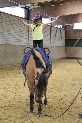 Der Freienspass auf dem Reiterhof Reiterzentrum Worch am Montag 23. Juli 2012 in Hattingen.Die 32 Kinder imm Alter zwischen 8-10 Jahren lernen spielerisch mit dem Tier Pferd umzugehen.Satteln,Säubern und reiten gehört dazu.Auch der Reitunterricht findetr statt. Foto: Claudia Schütte / WAZ FotoPool