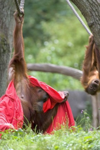 Kinder bastelten bunte Tüten für die Menschenaffen im Dortmunder Zoo.