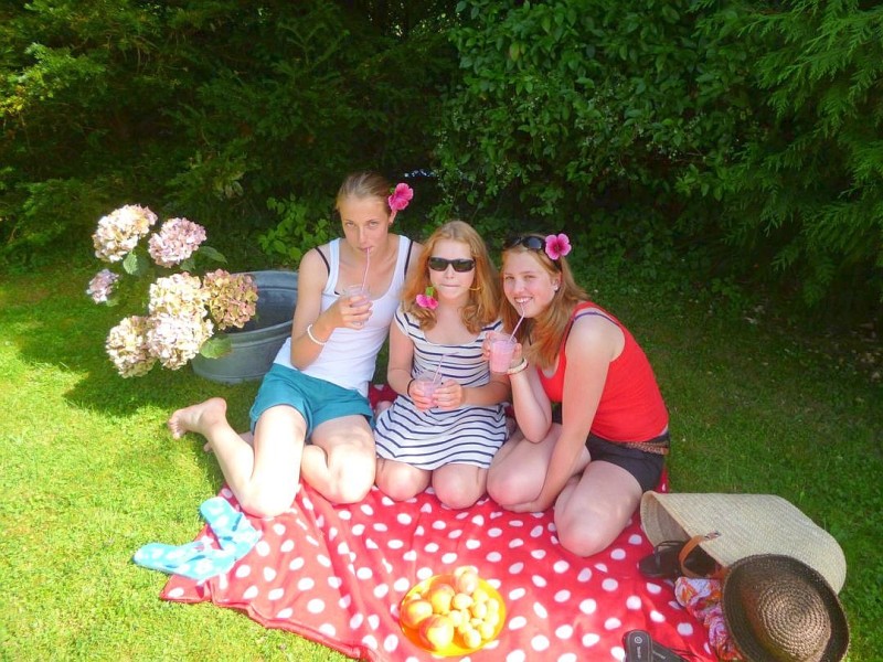 Sommerpicknick in den Ferien