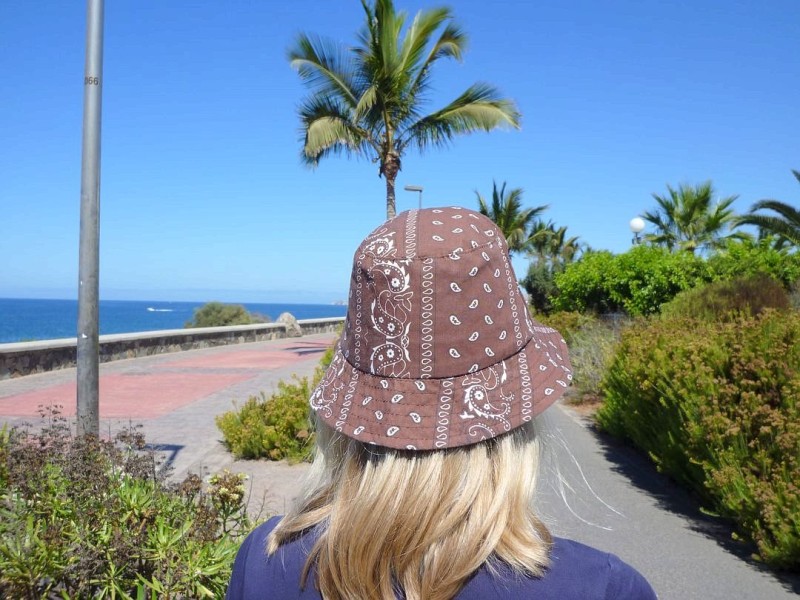 Palmenanbeterin auf Gran Canaria
