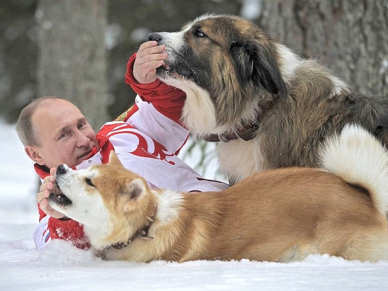 … mit seinen Hunden beim Toben im Schnee.