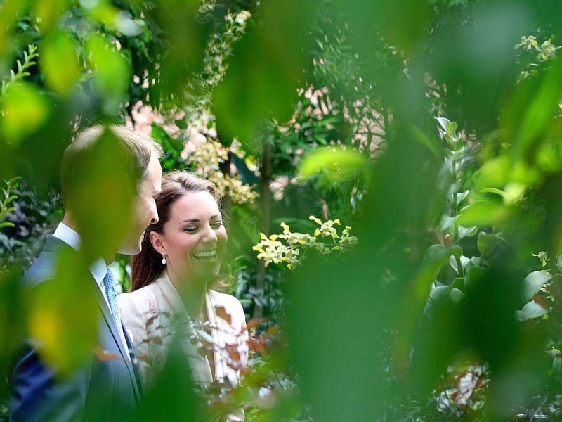 Drei Tage verbringen William und Kate in Singapur. Sie besuchen den Stadtstaat als Teil ihrer neuntägigen Reise durch den Fernen Osten und den südpazifischen Raum. Anlass ist das diamantene Thronjubiläum von Queen Elizabeth II. Hier ist das Prinzenpaar im Botanischen Garten.