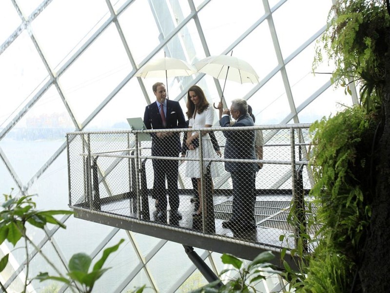 Drei Tage verbringen William und Kate in Singapur. Sie besuchen den Stadtstaat als Teil ihrer neuntägigen Reise durch den Fernen Osten und den südpazifischen Raum. Anlass ist das diamantene Thronjubiläum von Queen Elizabeth II. Hier ist das Prinzenpaar im Botanischen Garten.