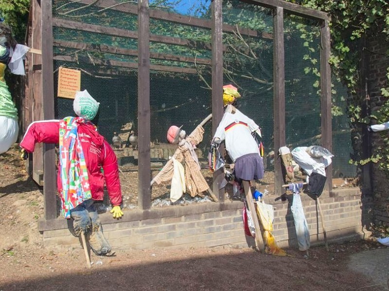 Familie Weber lud auf den Oberschuirshof ein - Foto: Reiner Worm / WAZ FotoPool