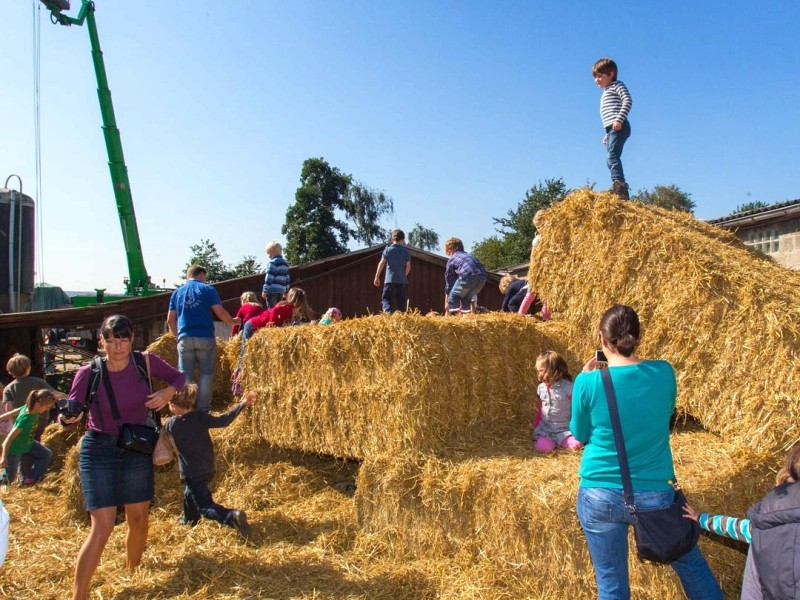 Familie Weber lud auf den Oberschuirshof ein - Foto: Reiner Worm / WAZ FotoPool