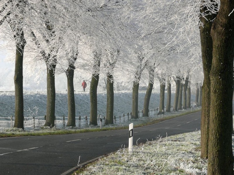 Götterswickerhamm am Rhein am 21. Dezember 2007. Am Rheindamm hat der Winter die Landschaft mit Reif überzogen. Märchenhaft hier spazieren zu gehen.