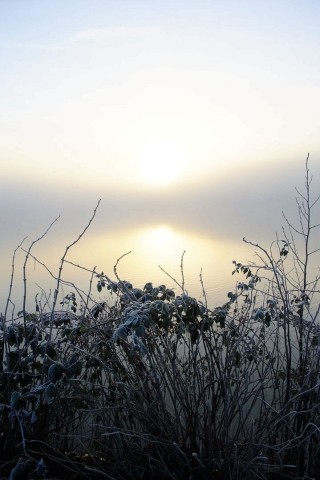 Frost-Morgen am Baldeneysee.
