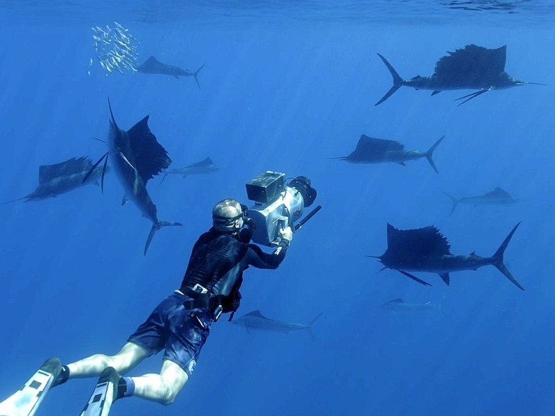 Der Film Planet Ocean zeigt schafft mit spektakulären Luft- und Unterwasser-Aufnahmen ein außergewöhnliches Natur-Porträt.