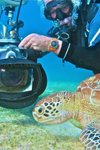 Der Film Planet Ocean zeigt schafft mit spektakulären Luft- und Unterwasser-Aufnahmen ein außergewöhnliches Natur-Porträt.