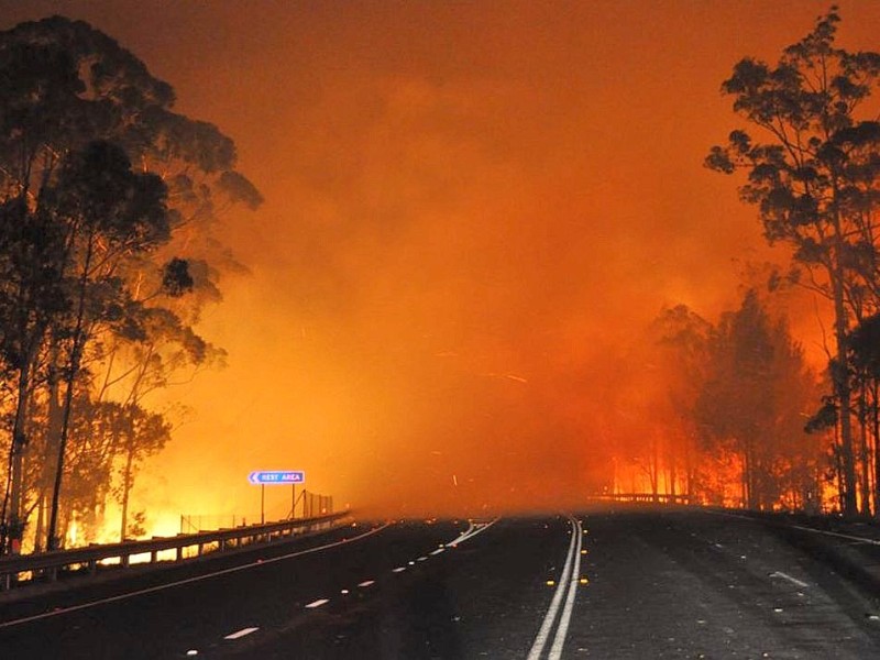 Mehr als 140 Feuer wüteten demnach am Dienstag im bevölkerungsreichsten Bundesstaat New South Wales, …