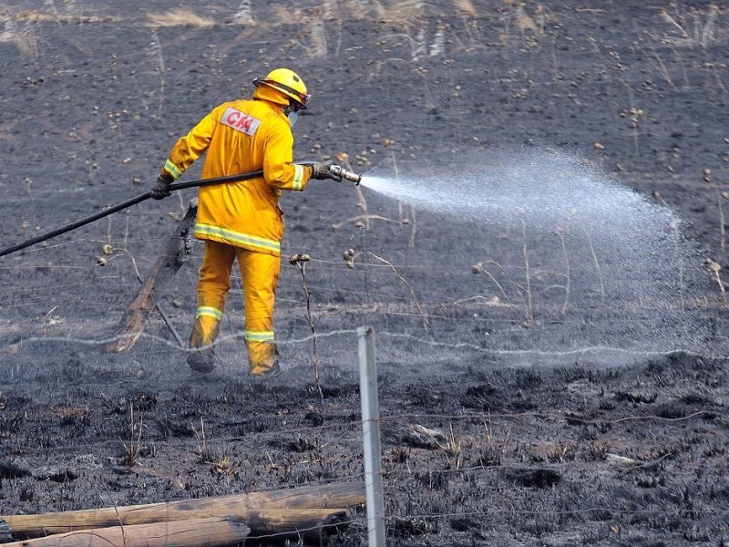 Dutzende Buschbrände bedrohen zur Zeit die Menschen in Australien.