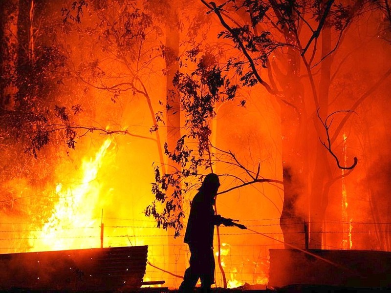 Bei anhaltender Hitze und starken Winden haben die Buschbrände in Australien nach Angaben der Feuerwehr Katastrophenniveau erreicht.