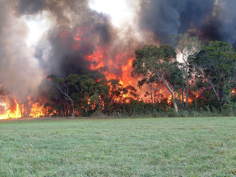 Weite Teile Australiens leiden immer noch unter einer extremen Hitzewelle, die zahlreiche Buschfeuer ausgelöst hat. Im Januar wurde ein landesweiter Hitzerekord mit einer Durchschnittstemperatur von 40,33 Grad Celsius verzeichnet.