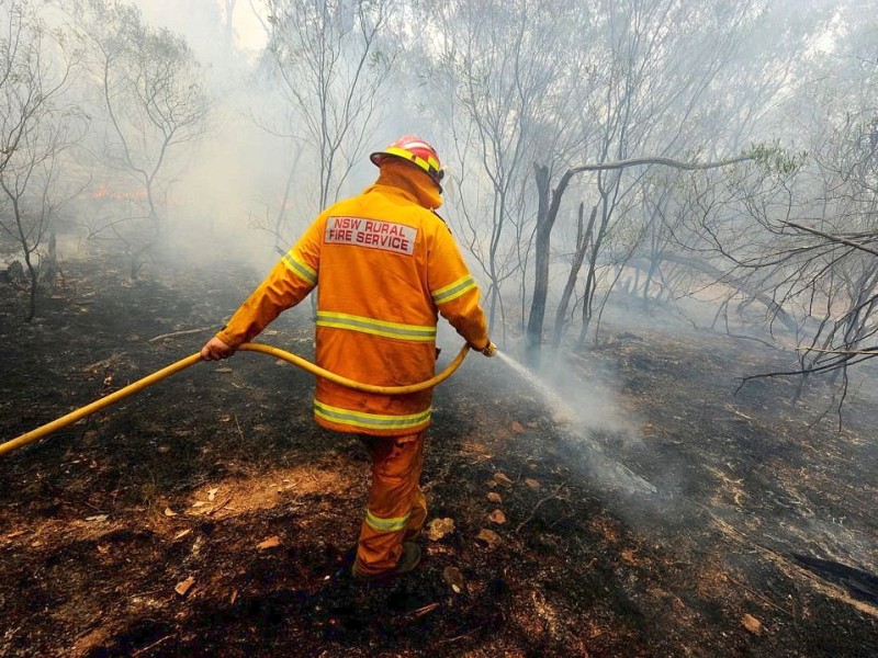Weite Teile Australiens leiden immer noch unter einer extremen Hitzewelle, die zahlreiche Buschfeuer ausgelöst hat. Im Januar wurde ein landesweiter Hitzerekord mit einer Durchschnittstemperatur von 40,33 Grad Celsius verzeichnet.