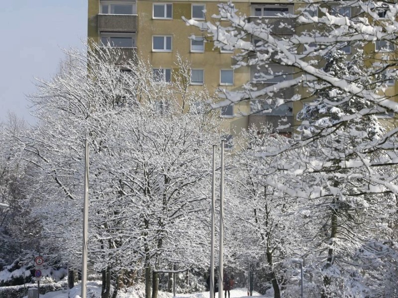 Schnee in Niederberg