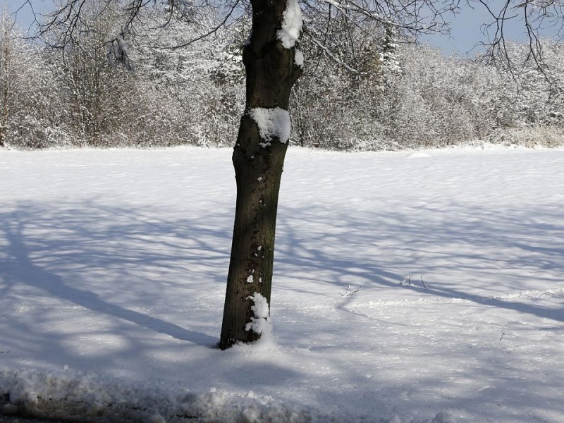 Schnee in Niederberg