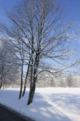 Schnee in Niederberg