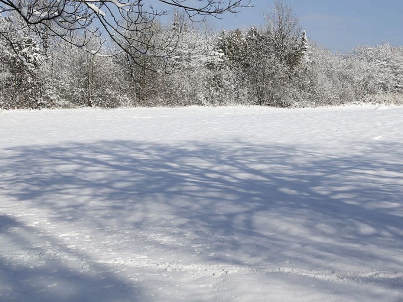 Schnee in Niederberg