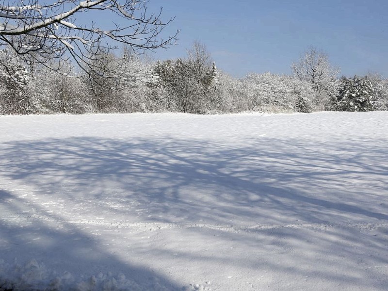 Schnee in Niederberg