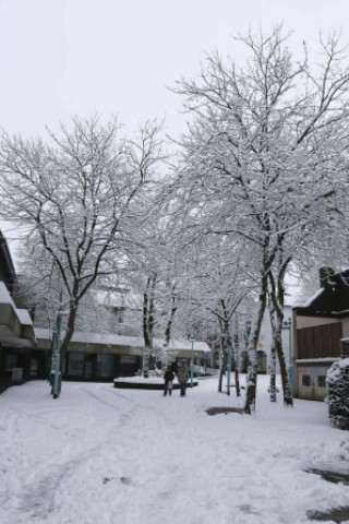 Schnee in Niederberg