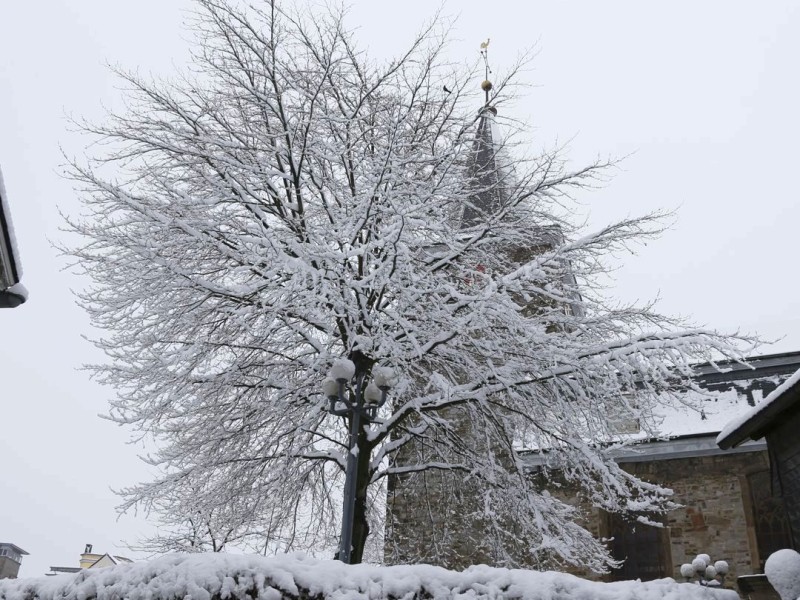 Schnee in Niederberg