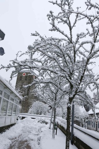 Schnee in Niederberg