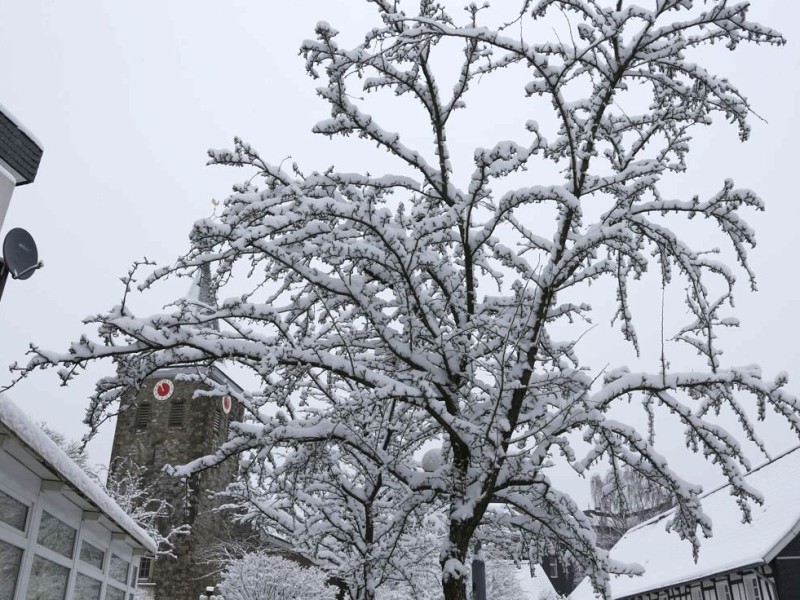 Schnee in Niederberg