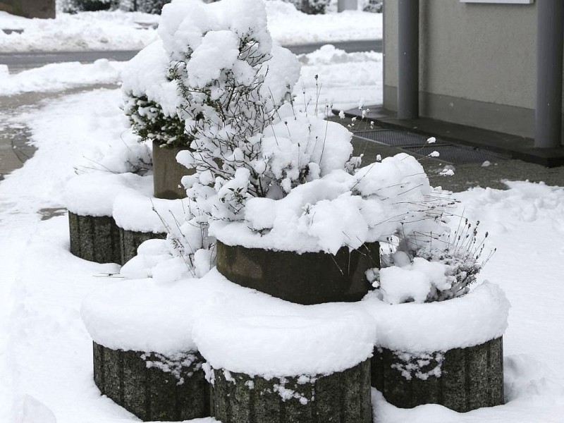 Schnee in Niederberg