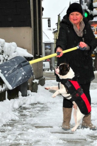 Schnee in Niederberg